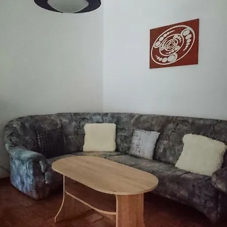 아파트 Nice Spacious Rozna Dolina 노바고리차
